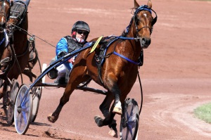 timoko1