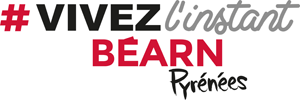 logo-instantbearn