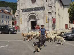 transhumance3