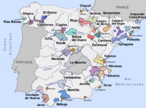 VINS ESPAGNE