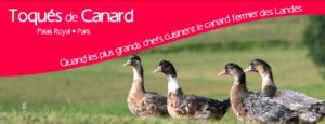 canards landes 3