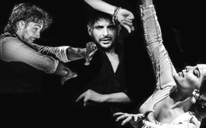 flamenco4