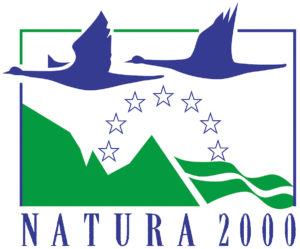 picanie1logonatura2000