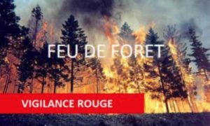 LANDES FEU 2