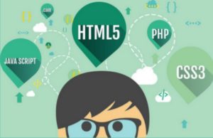 wild-code-school-5