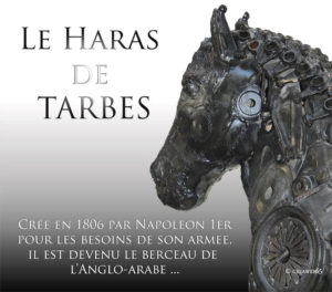 haras3