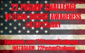 22pushup