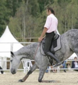 biarritz-cheval