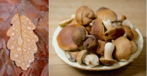 diner-cepes-3