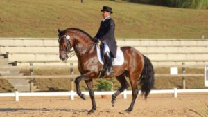 cheval2palos
