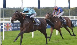 rouget-ascot-7