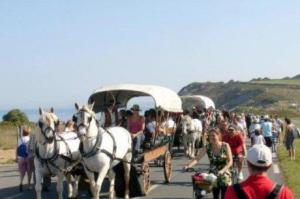 Fetecorniche1