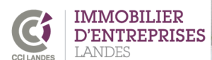 CCI IMMOBILIER LOGO