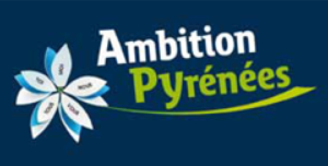 AMBITION LOGO