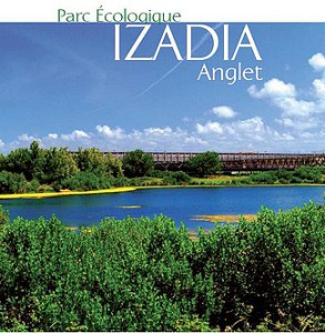 izadia2