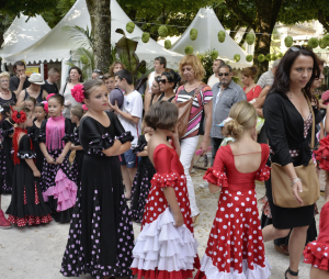 FLAMENCO 8