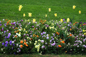 jardin1massey