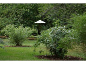 jardin4hillen