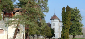 NITOT CHATEAU