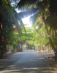 Route Boca Paila3