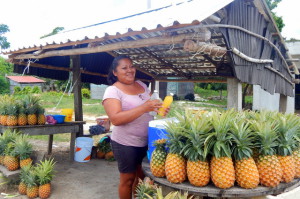 Vendeuse d'ananas au bord des routes
