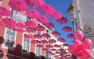 OCTOBRE ROSE 65 4