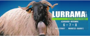 LURRAMA AFFICHE
