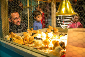 SISQA 2014 : la Ferme