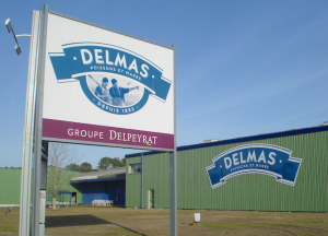 DELMAS