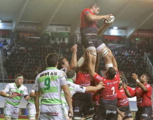 RUGBY toulon:pau