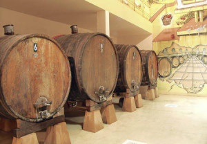 cidre1txopinondo