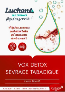 voxdetox2luchonaffiche
