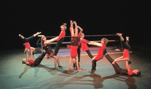 ACROFOLIES