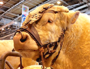 SALON AGRICULTURE