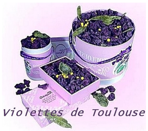 VIOLETTE 2