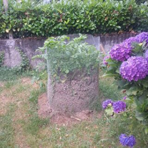arrosoir4jardin