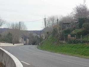 belairoloron4