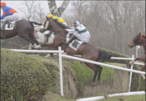 cross cheval