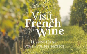 vinsite1