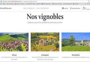 vinsite3