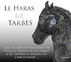 harastarbes3