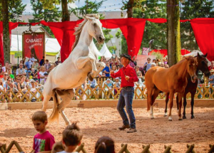EQUSTRIA 4