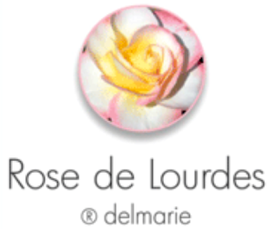 ROSE LOURDES 3