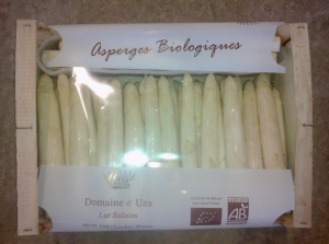 UZA ASPERGES 2