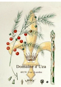 UZA LOGO