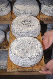 fromage3