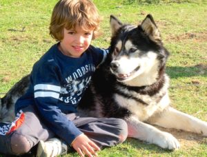 payolle-chiens-2