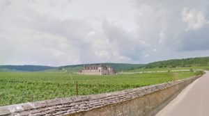 cite-du-vin-2