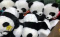 Le bazar de Chengdu : pandas en peluche