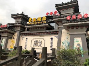 Opéra Chengdu : Entrée
